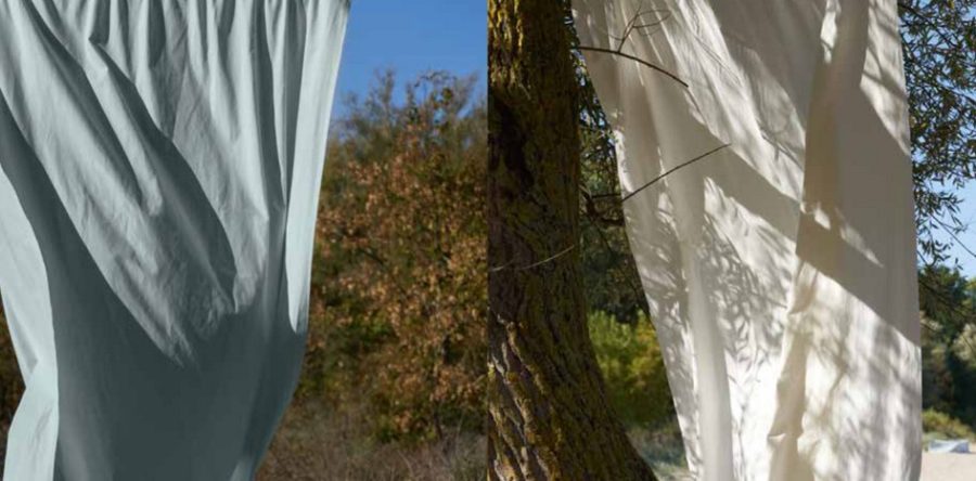 Conscience écologique