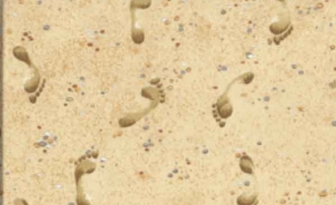 3839-Q04 pied dans sable Footprints